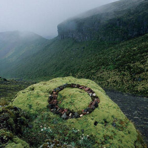 Olfactive Studio Chypre Shot Extract edp 100ml - Image 3