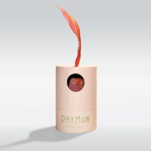 Daymon edp 100ml - Image 3