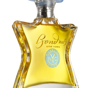 Riverside Drive EDP M 100 ml - Image 1
