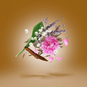 Xerjoff Oud Stars ALEXANDRIA II edp 100ml - Image 3