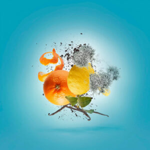 Xerjoff V Erba Pura edp 100ml - Image 3