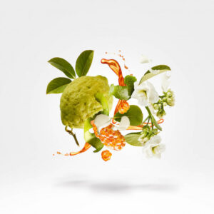 Xerjoff 1861 Naxos edp 100ml - Image 2