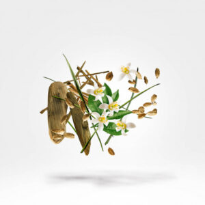 Xerjoff Shooting Stars NIO edp 50ml - Image 2