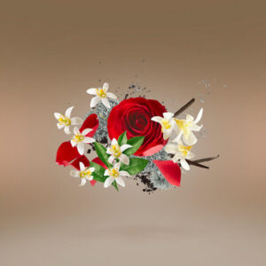 Xerjoff 17/17 Stone Label PIKOVAYA DAMA edp 100 ml - Image 2