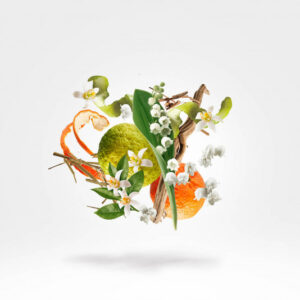 Xerjoff 1861 Renaissance edp 100ml - Image 3