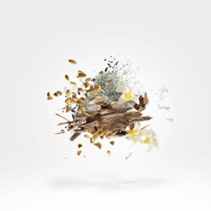 Xerjoff 17/17 Symhonium Edp 100 ml - Image 2