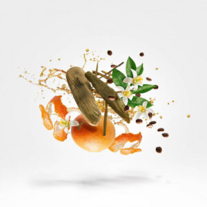 Xerjoff Shooting Stars UDEN edp 50ml - Image 3