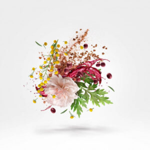 Xerjoff 1861 Zefiro edp 100ml - Image 2