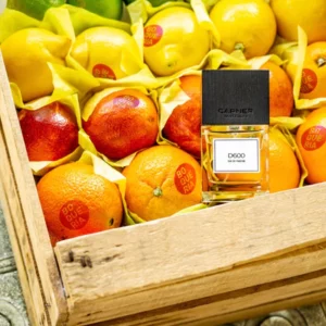 Carner Barcelona D600 edp 50-100ml - Image 3