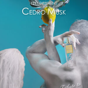 Alyssa Ashley Cedro Musk Eau De Parfum 100 ml - Image 2