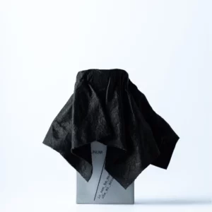Filippo Sorcionelli Io Non Ho Mani Che…. - Image 1