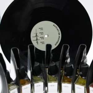 Filippo Sorcionelli Organ #3 - Image 3