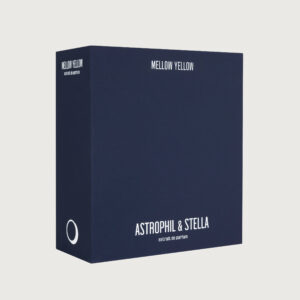 MELLOW YELLOW extrait de parfum 50 ml - Image 2